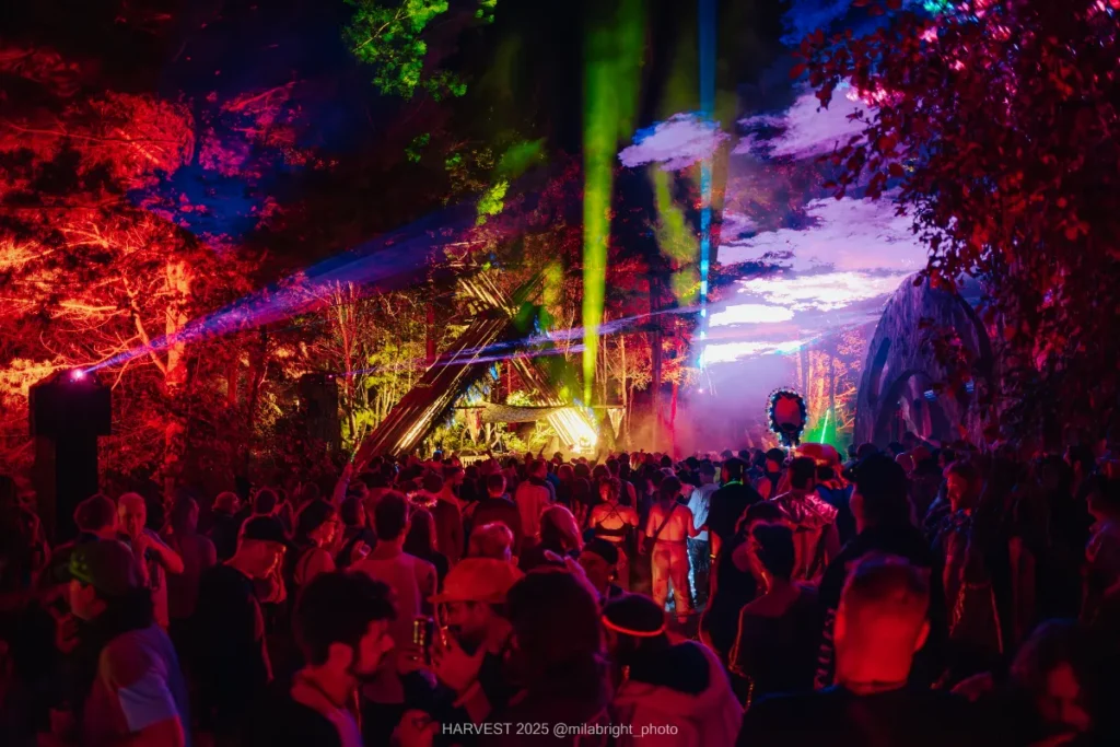 Lasers over stage and crowd