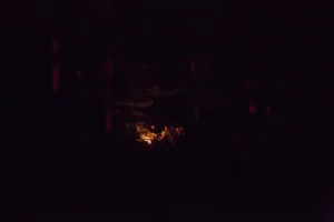 Fire in dark night
