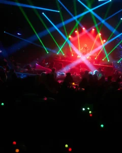 A violinist at Harvest