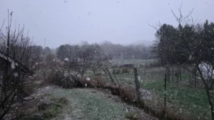 Snow over fields