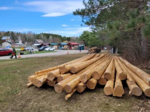 Stripped logs by parking