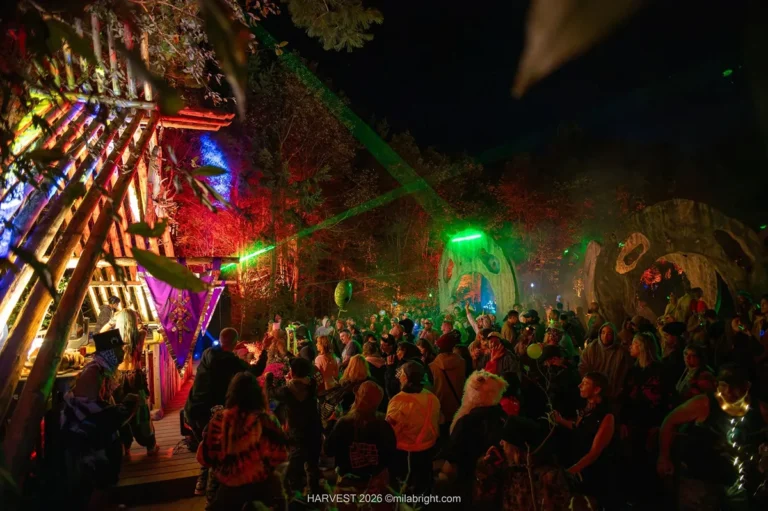 Dancing crowd at the Heads stage outdoors at night with neon lights